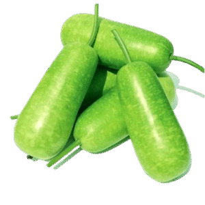 Bầu
