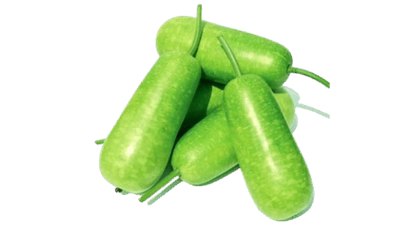 Bầu